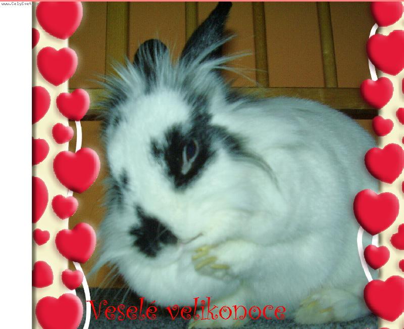 Foto: VESEL� VELIKONOCE