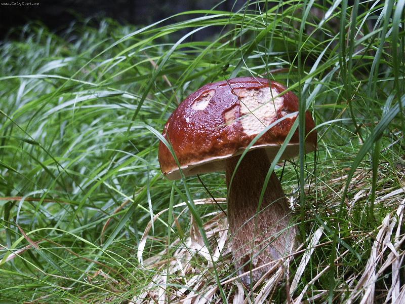 Foto: Taky u� se t��te ?