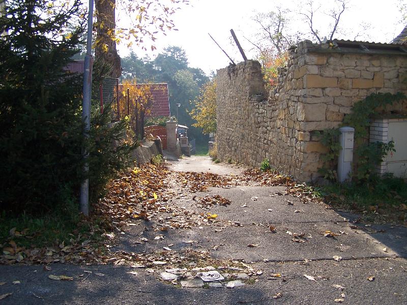 Foto: LISTOPAD-Vesni�ka st�ediskov� v barv�ch