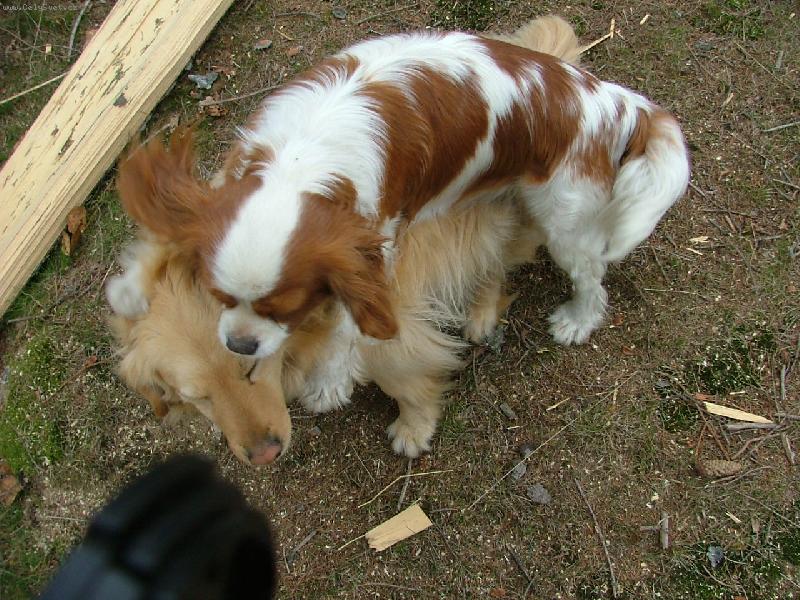 Foto: Kdy� si za�nem hr�t...