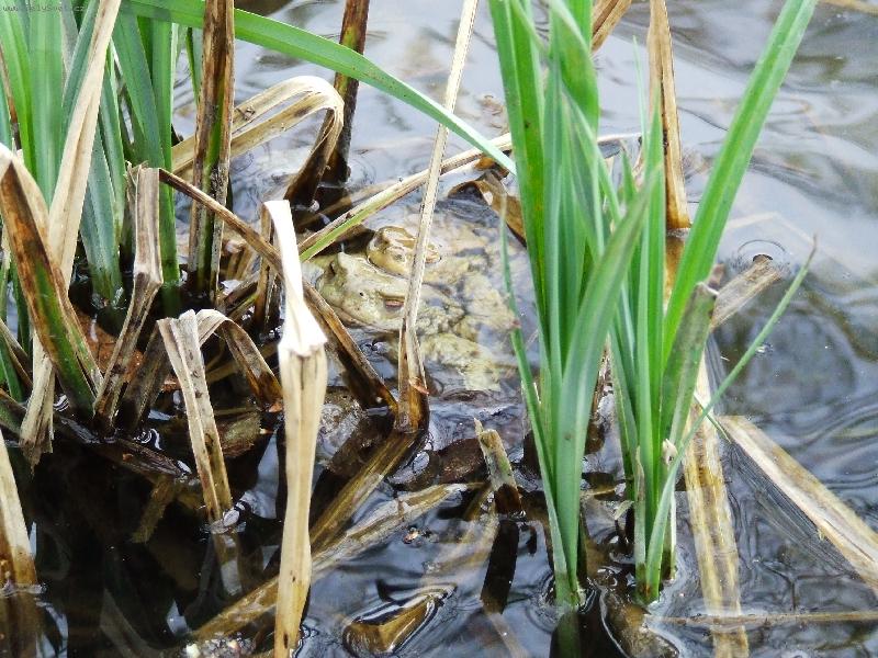 Foto: A bude n�s v�c a v�c ...