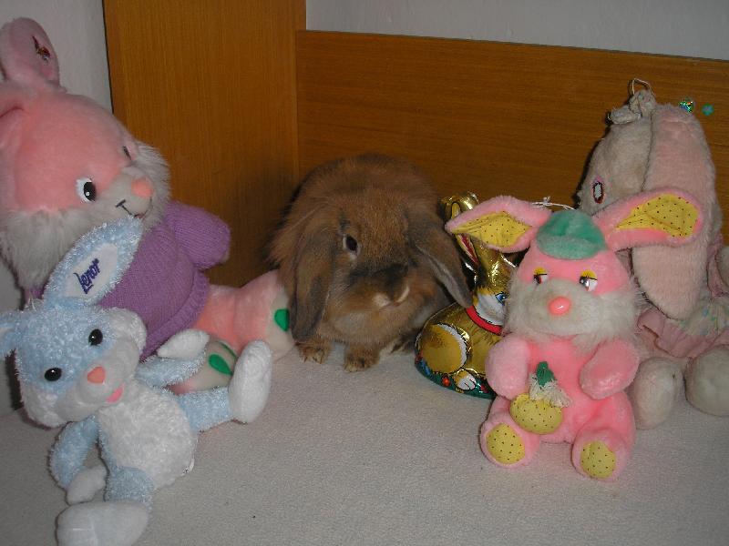 Foto: Roz�rka-Tak, a tady m� nikdo nenajde.....