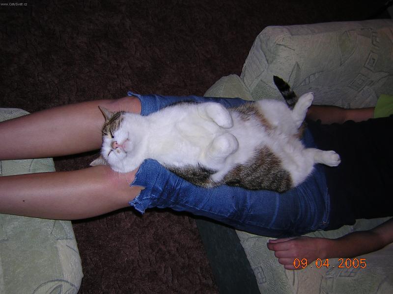 Foto: moje nov� pohovka