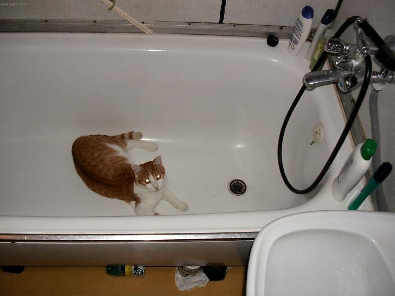 Foto: Zip-obl�ben� m�sto na span�