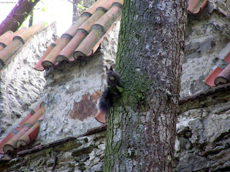 Foto: ���r nad S�zavou - z�meck� park-U� jsem v bezpe��...