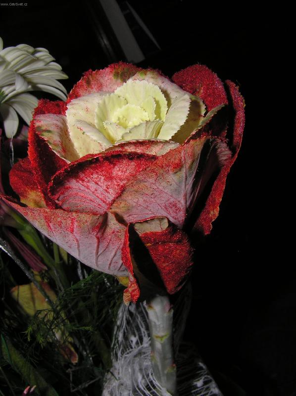 Foto: kytice-n�dhern� exotick� kv�tina