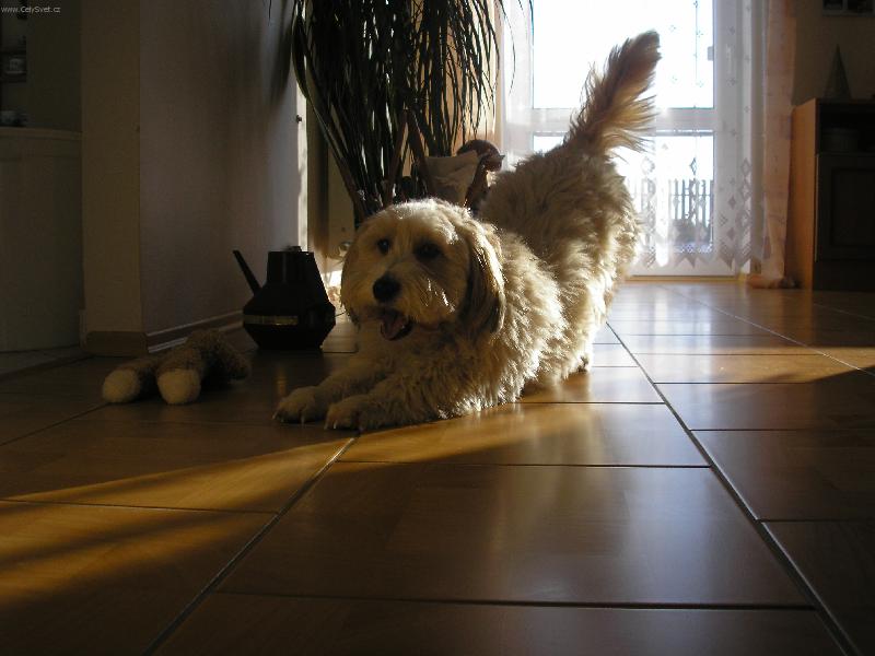 Foto: u��������