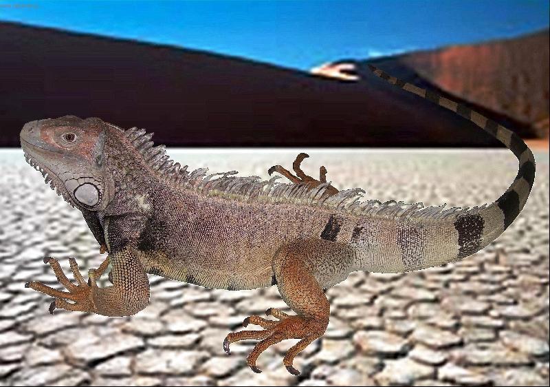 Foto: legu�n zelen�