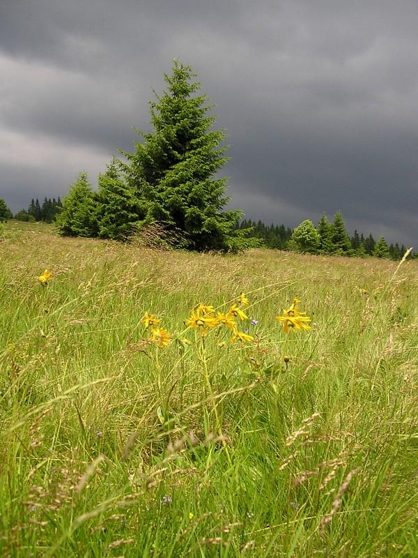 Foto: P�ed bou��