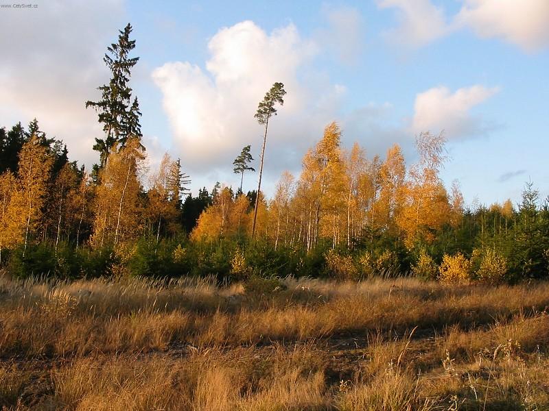 Foto: Ve�ern� slunce