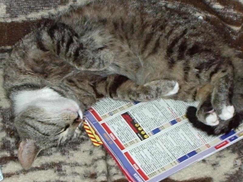 Foto: mourek-vite takle ja spim