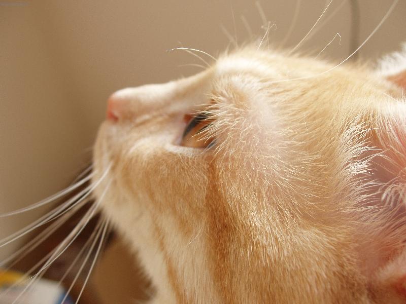 Foto: pohled do du�e