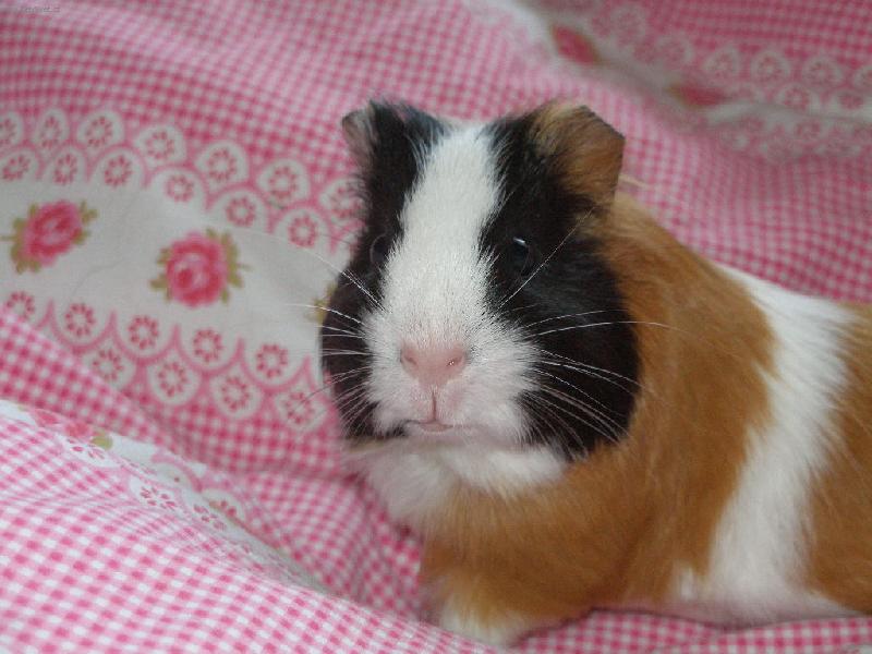 Foto: Moje Teru�inka