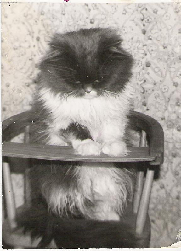 Foto: MAIK-..u� se na tu sva�inku t��m...