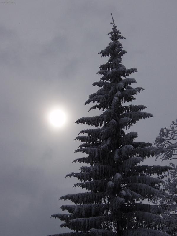 Foto: Slune�n� oko-�umava