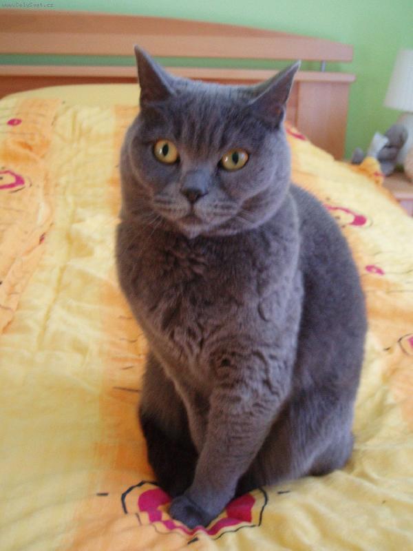 Foto: Engi
