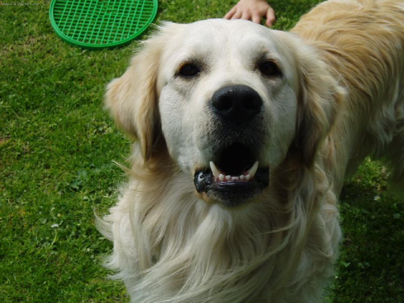 Foto: Frodo-Uka� j� se chci taky kouknout