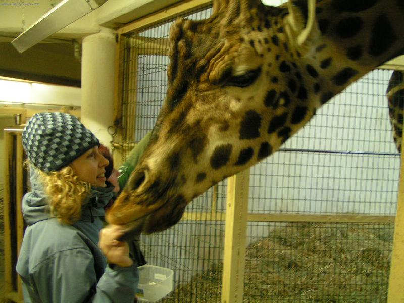 Foto: Nezapomenuteln� z�itek-K V�noc�m jsem dostala spoustu d�rk�, ale tento byl nejv�t��