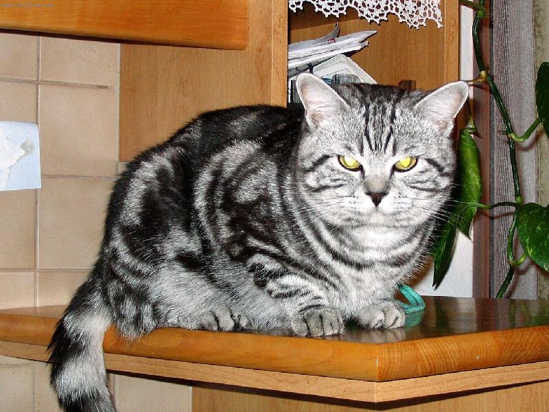 Foto: jsem frajer-kter� m� chce?