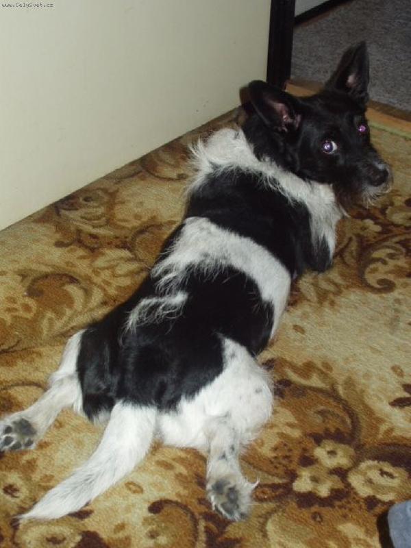 Foto: Leh�ro-To je pane�ku prdelka