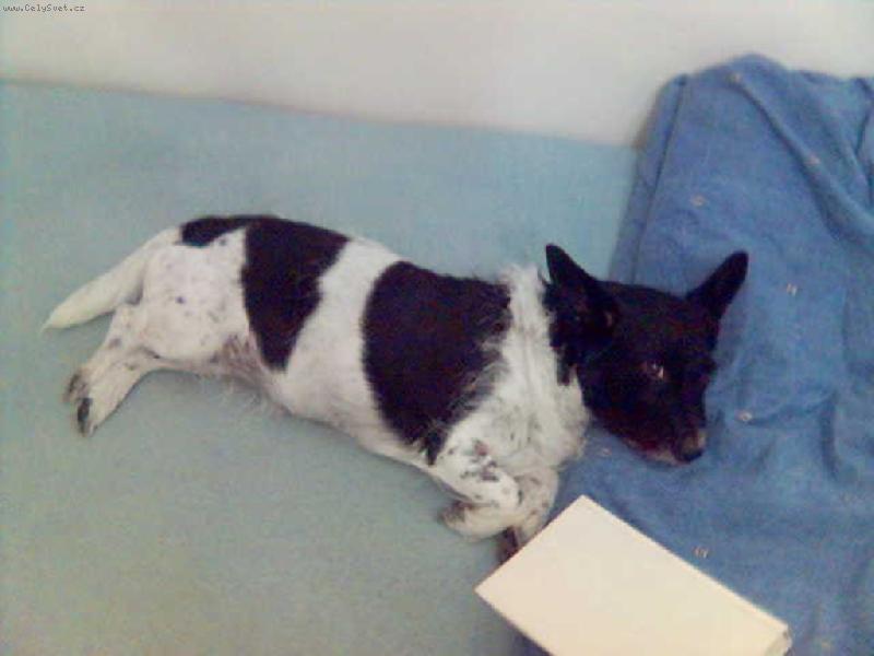 Foto: T�k� studia-Ach to �ten� tak unavuje