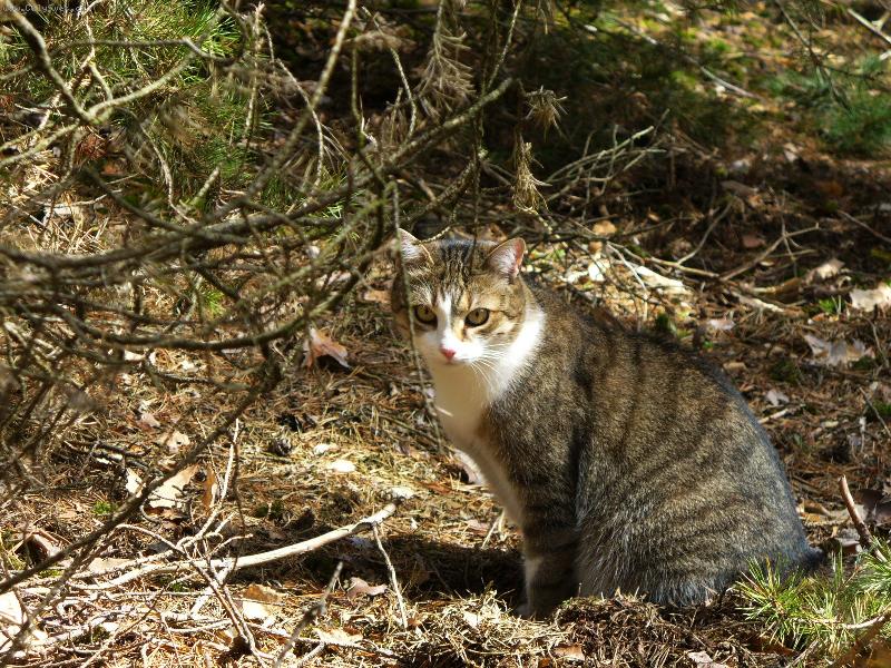 Foto: ... tak a te� m��� p�zovat.-Jazzi v akci