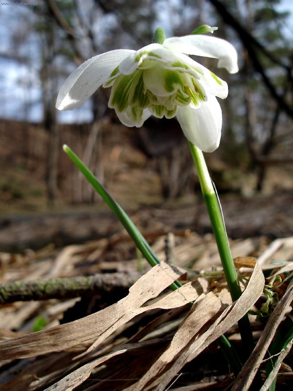 Foto: P��chod jara