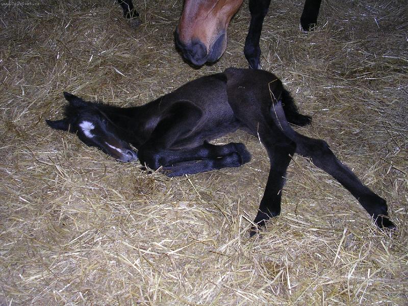 Foto: Na�e nov� miminko-To m�m no�ky, co?