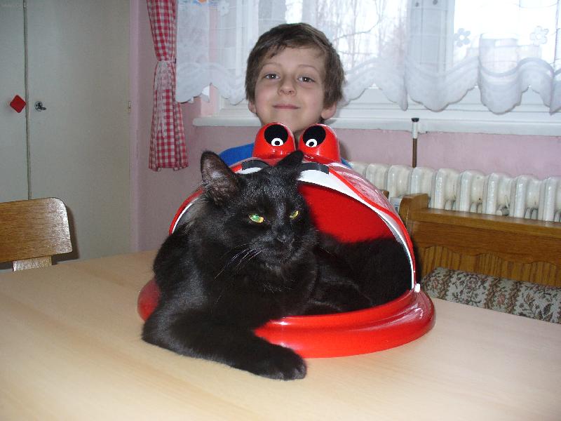 Foto: Mike�-N� milou�k�, sla�ou�k� kocourek