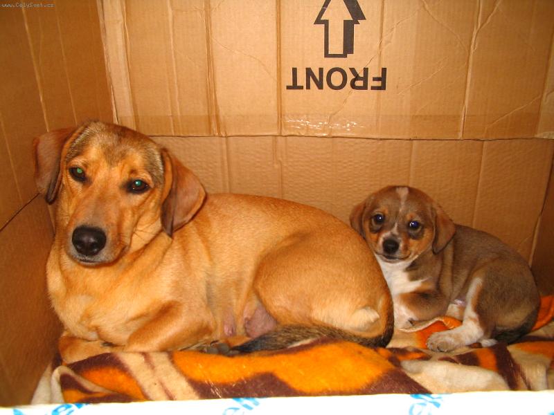 Foto: maminka se synem