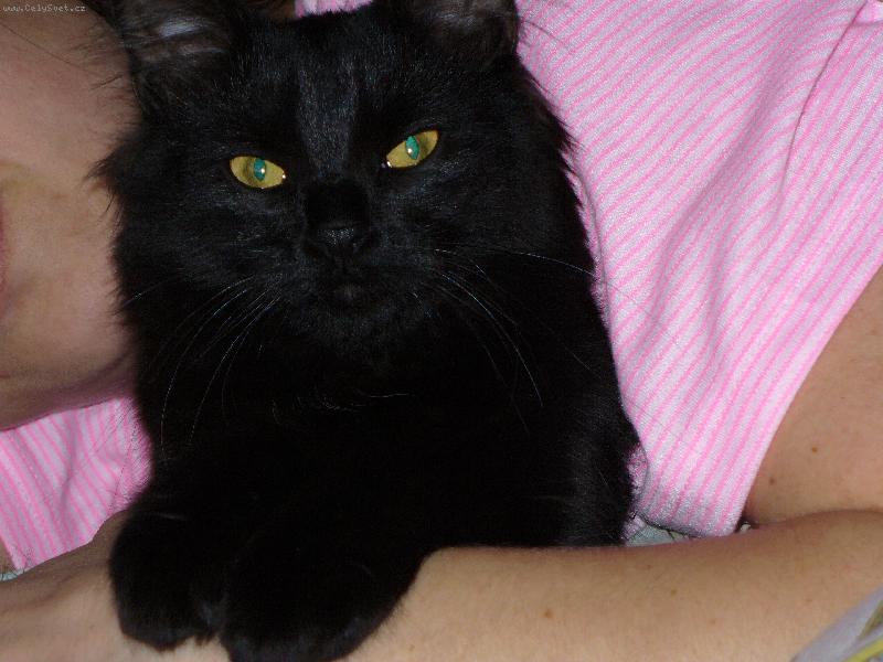 Foto: Mike�-Kocour jak se pat��