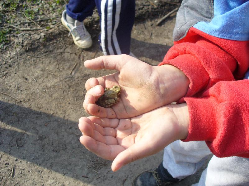 Foto: ....a stejn� se t� neboj�m-�abka