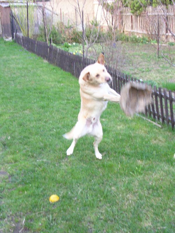 Foto: Jonat�nek hraj�c� voleyball-Tak a te� bagr a .....