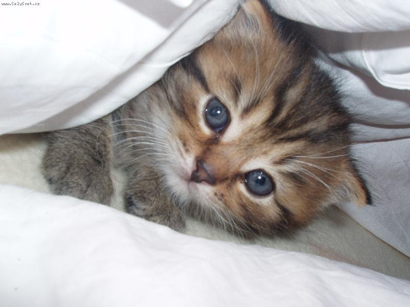 Foto: Happy-u� se zavrt�v�m...