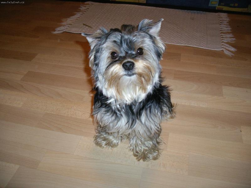 Foto: Chico :-)