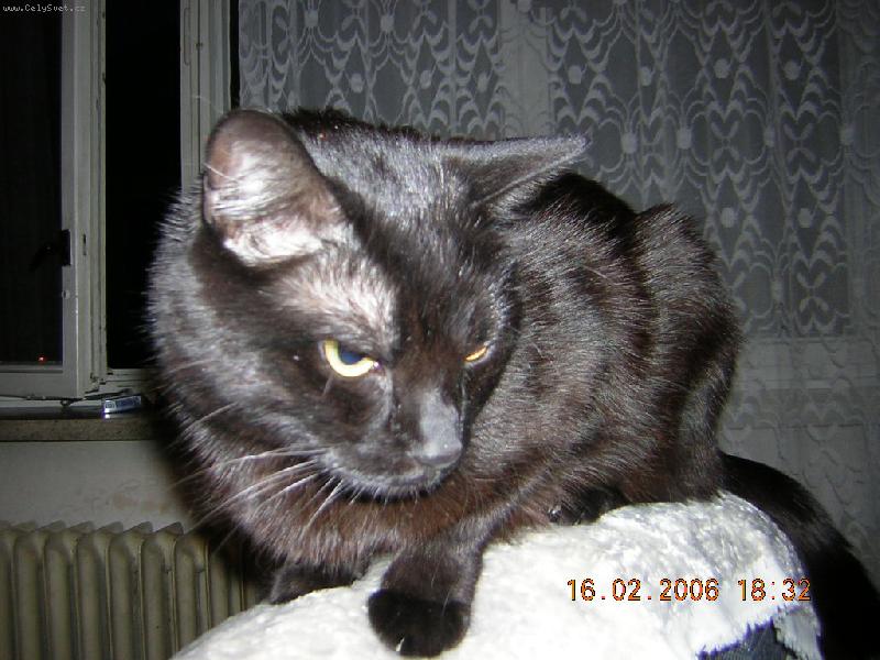 Foto: toto k�eslo je te� moje