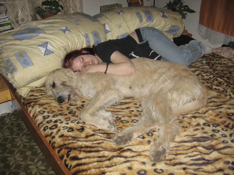 Foto: Dobrou noc