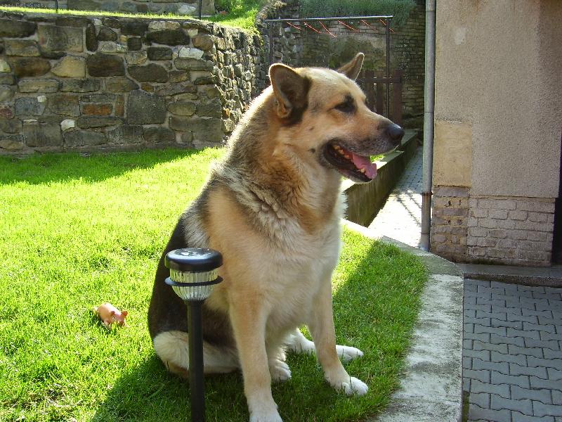 Foto: Artur-osobn� str�ce