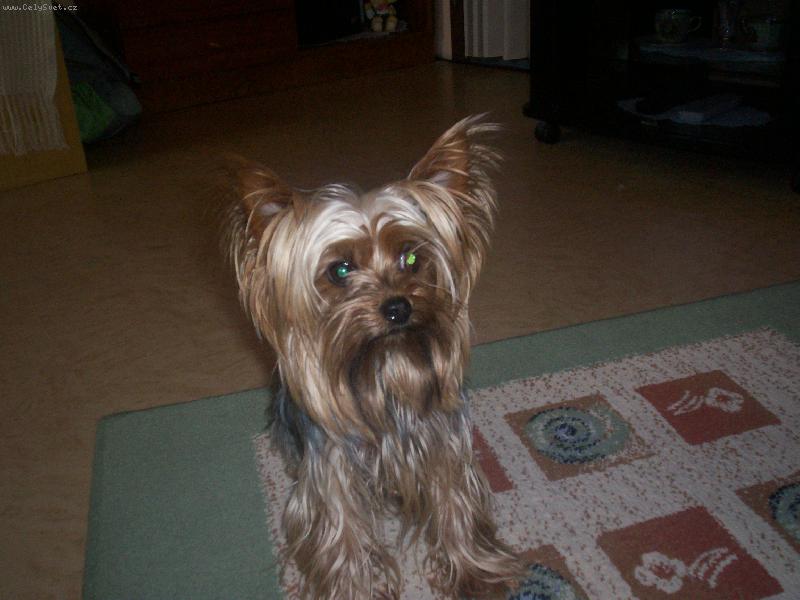 Foto: SPIKE