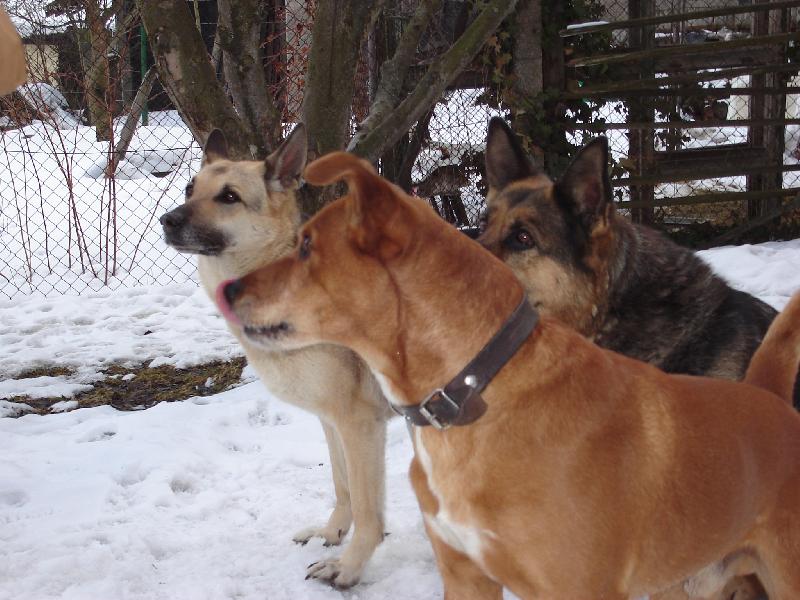 Foto: M�am!-Dej n�m taky kousek...