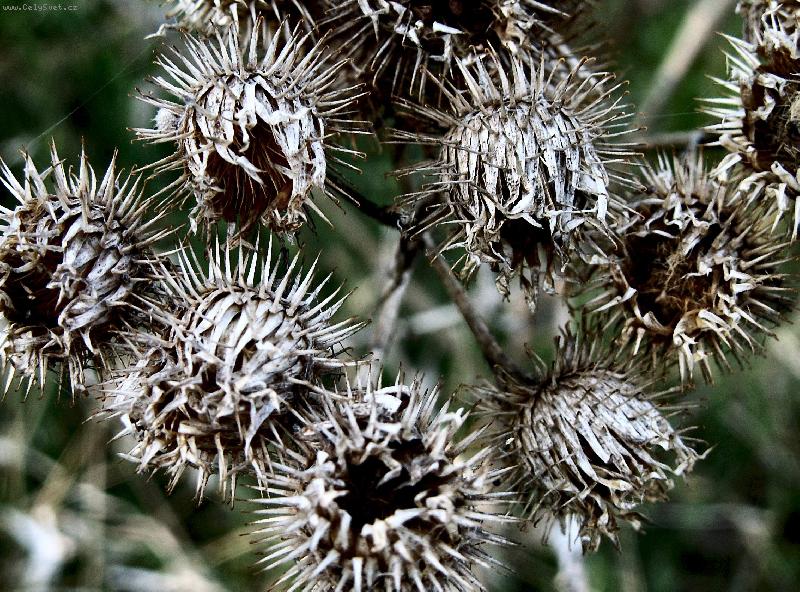 Foto: Pozor, a� t� nep�chnu