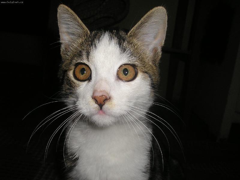 Foto: -- Tonda --