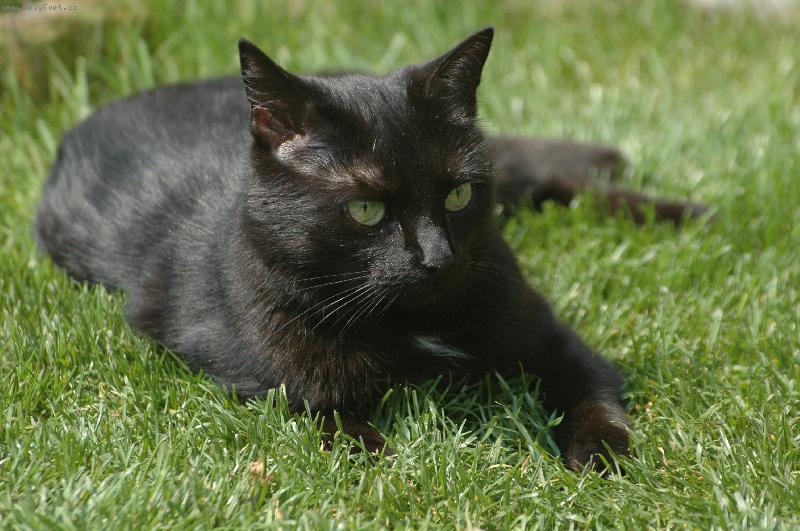 Foto: Just�na p�i odpo�inku