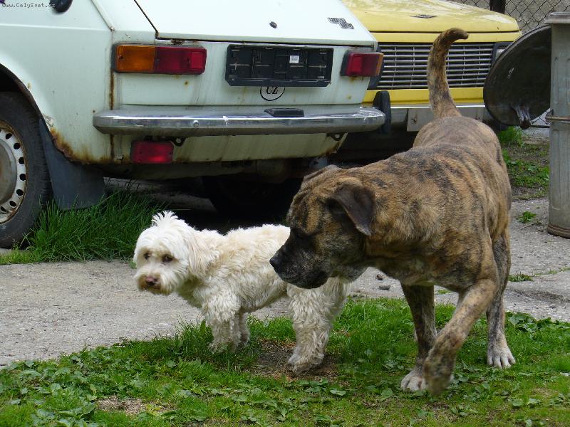 Foto: Zajdem n�kam?