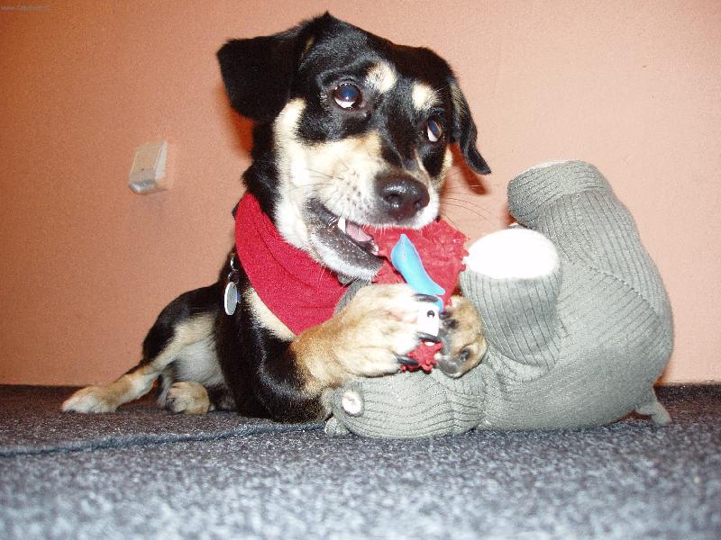 Foto: Frodo�ek-Kuk