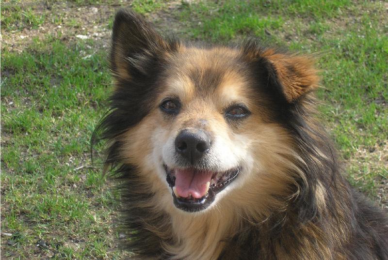 Foto: sm�ska - ale poveden�-na 15let vypad�m mlad�, ne...