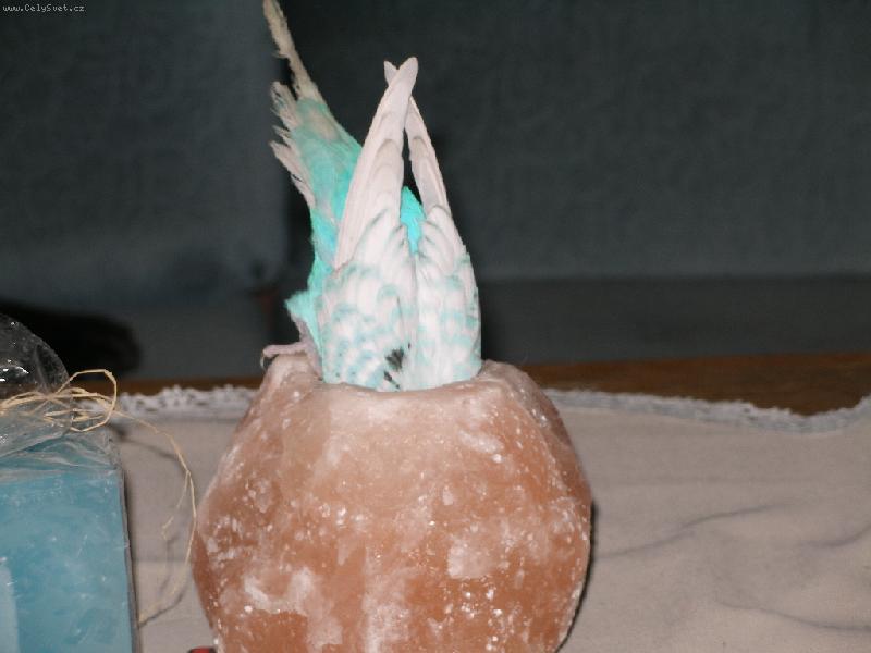 Foto: Pep��ek v soln� lamp�-Na�t�st� tam sv��ka nebyla...