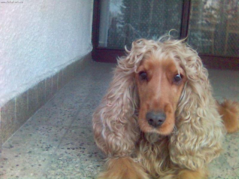 Foto: Jsme tak kr�sn� stvo�en�-6e n�m to slu�elo?