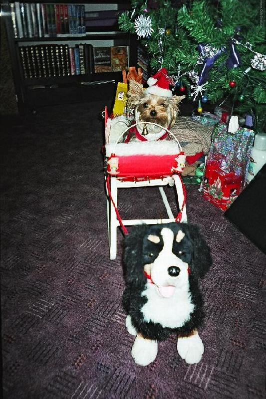 Foto: Santa