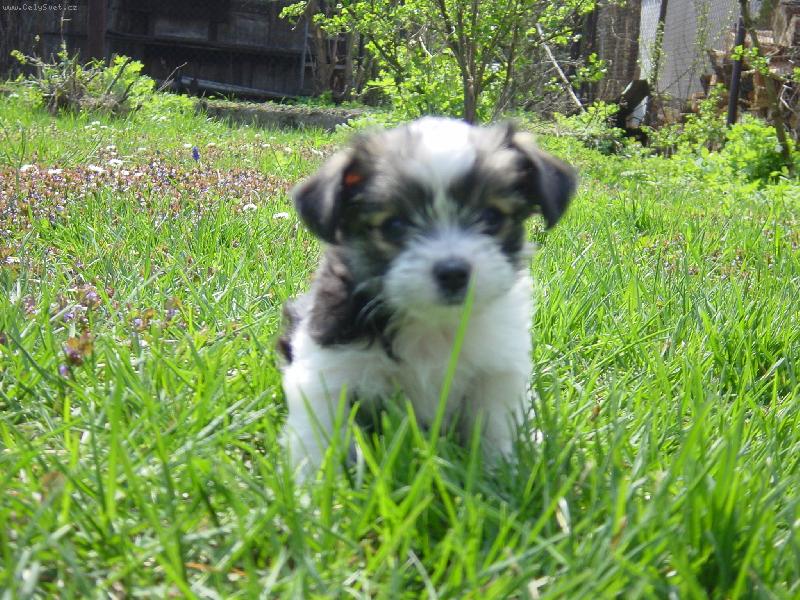 Foto: Trixi